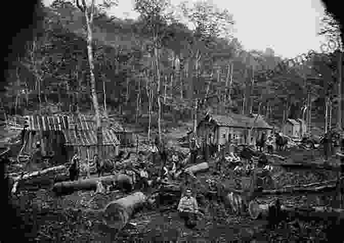 A Bustling Lumber Camp In Clearfield County, Capturing The Fervor Of The County's Timber Industry. Clearfield County (Images Of America)