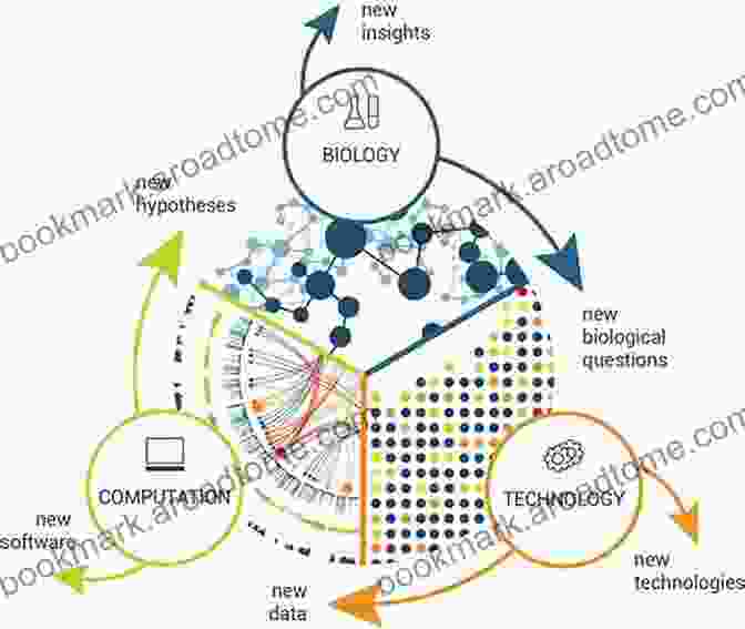 A Diagram Illustrating The Principles Of Information Theory In Biological Systems Quantum Biological Information Theory Ivan B Djordjevic