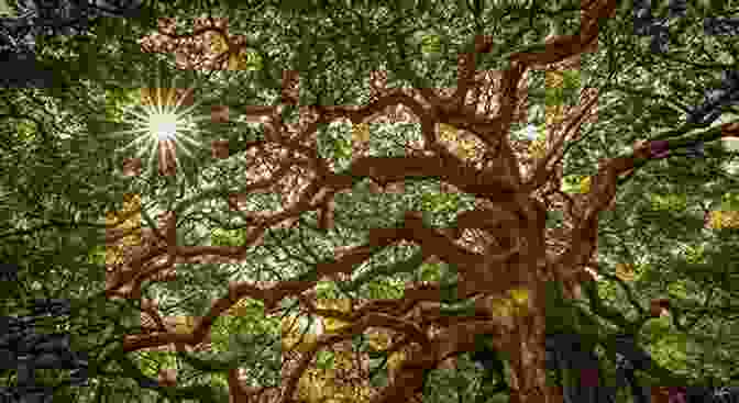 A Picture Of A Large, Ancient Tree With Its Branches Reaching Up To The Sky. Wicca Tree Magic: A Wiccan S Guide And Grimoire For Working Magic With Trees With Tree Spells And Magical Crafts (Wicca For Beginners Series)