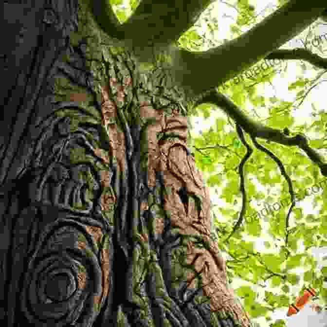 A Picture Of A Man Reading The Runes Carved Into The Bark Of A Tree. Wicca Tree Magic: A Wiccan S Guide And Grimoire For Working Magic With Trees With Tree Spells And Magical Crafts (Wicca For Beginners Series)