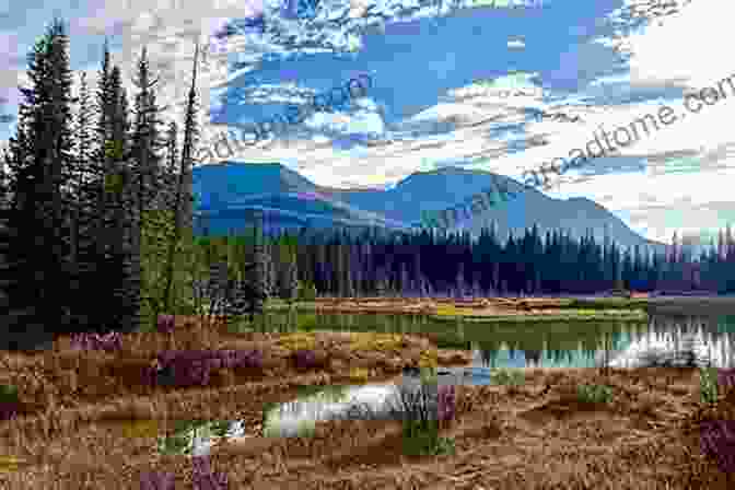 A Tranquil Image Of A Lake With Mountains In The Background, Symbolizing The Inner Peace Achievable Through The Book's Teachings. From Fear To Serenity: A Lombok Earthquake Survivor S Tale (Backpacker S Travels 1)