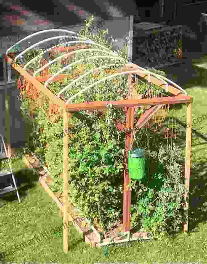 A Vertical Garden On A Trellis Backyard And Garden Design Ideas: Up The Wall