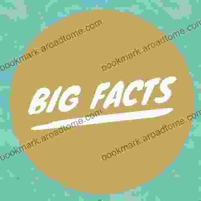 Big Big Of Facts 49 500 Big Facts: Cover Image Big Big Of Facts 49: 500 Big Facts