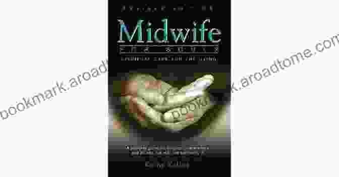 Book Cover Of Midwife For Souls With A Silhouette Of A Woman Holding Hands With A Dying Person Midwife For Souls: Spiritual Care For The Dying