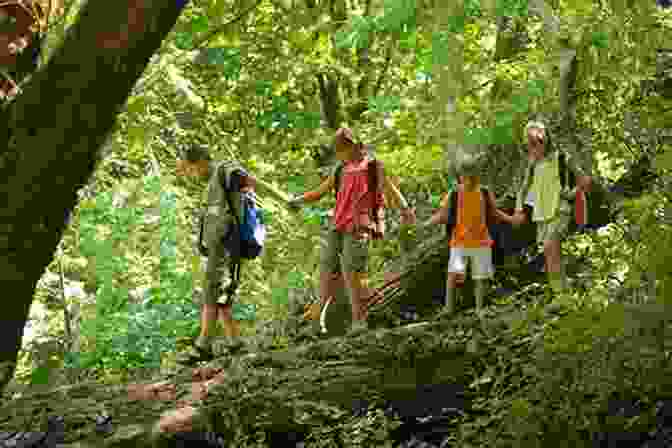 Child Exploring A Forest Discover Nature Around The House: Things To Know And Things To Do (Discover Nature Series)