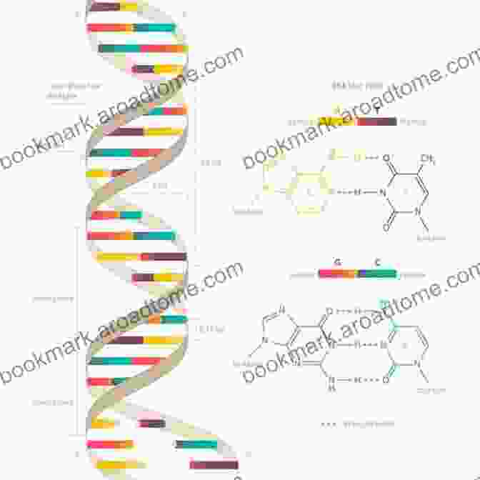 Double Helix Structure Of DNA Molecular Genetics Gene Transfer And Therapy (ISSN 40)