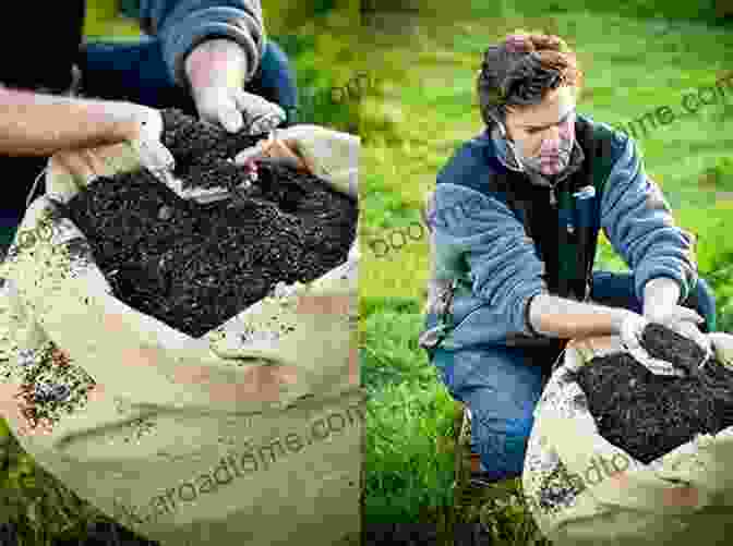 Duck Manure Being Spread On A Garden Bed, Enriching The Soil With Natural Nutrients. Raising Ducks: Beginners Guide To Raising Healthy And Happy Ducks