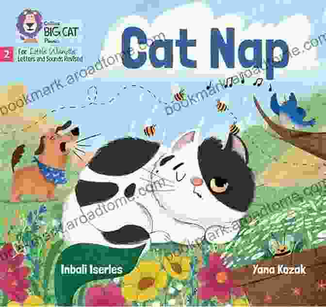 Early Literacy Development Collins Big Cat Phonics For Letters And Sounds Nap Tap: Band 01A/Pink A: Band 1A/Pink A