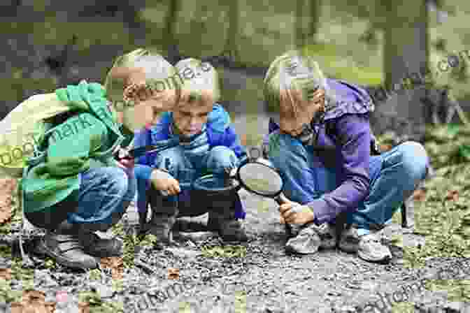 Family Exploring Nature Discover Nature Around The House: Things To Know And Things To Do (Discover Nature Series)