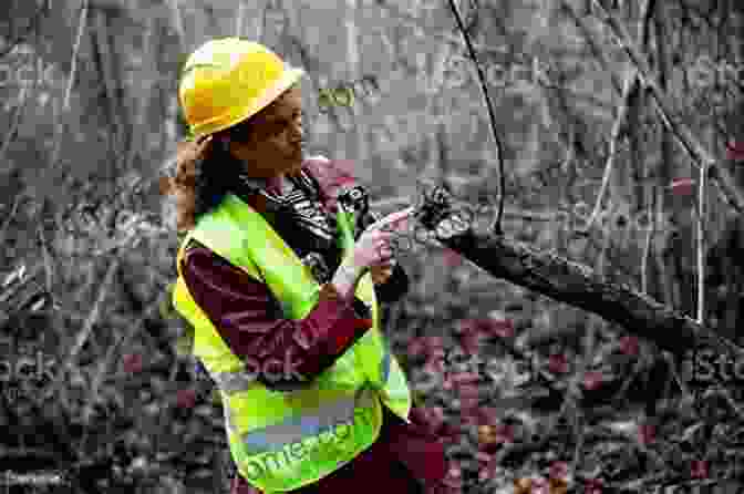 Forester Examining A Tree For Disease Coppice Agroforestry: Tending Trees For Product Profit And Woodland Ecology