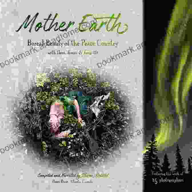 Gifts Of Mother Earth Book Cover, Vibrant Colors, Exquisite Nature Scenes Gifts Of Mother Earth: Earth Energies Vortexes Lines And Grids