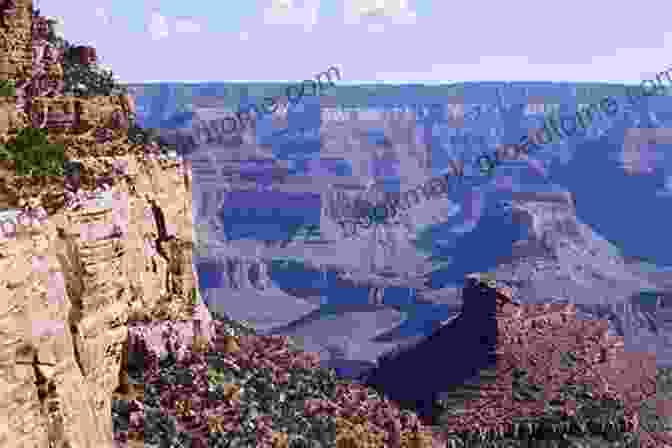 Hiker Admiring A Panoramic View Of The Grand Canyon Hiking Southwest Canyon Country Sandra Hinchman