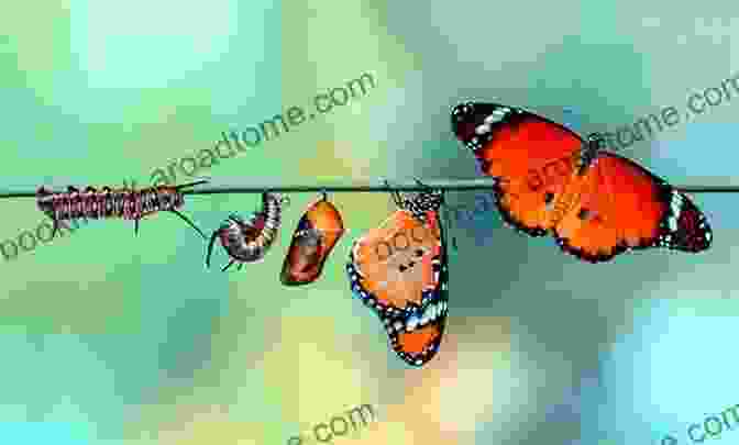 Image Of A Butterfly Emerging From A Cocoon, Symbolizing Transformation And Growth Transformation J G Bennett