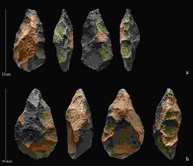 Image Of Early Human Tools Speleothem Science: From Process To Past Environments (Blackwell Quaternary Geoscience 4)