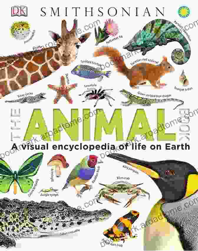 Its Me Fish Animal Encyclopedia Book Cover Fish : Its Me Fish ( Animal Encyclopedia) (It S Me Series)