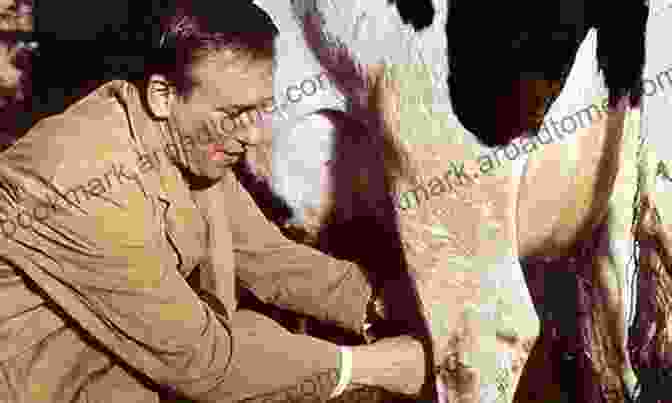 James Herriot Tending To A Calf On Call With A Yorkshire Vet