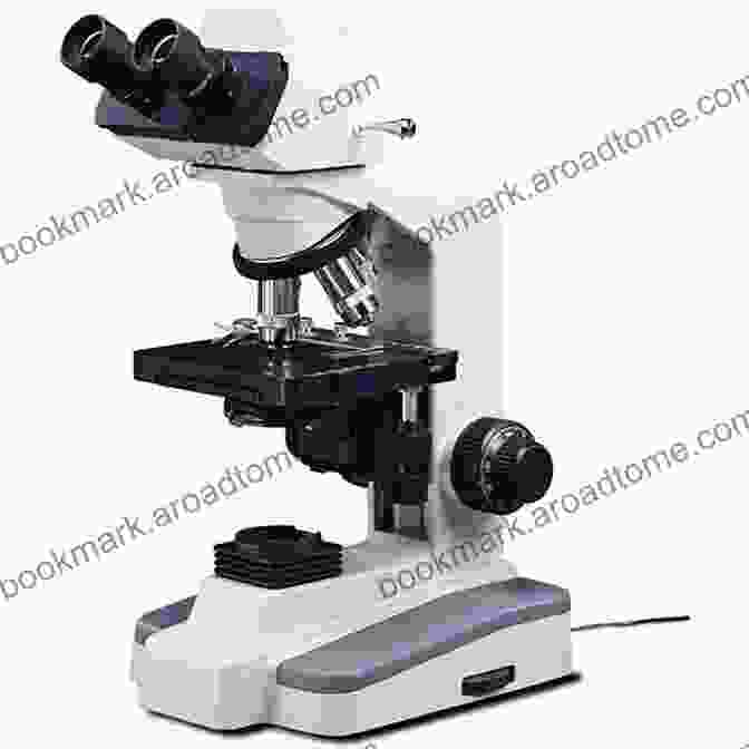 Light Microscope For Biological And Medical Research Light Microscopic Techniques In Biology And Medicine