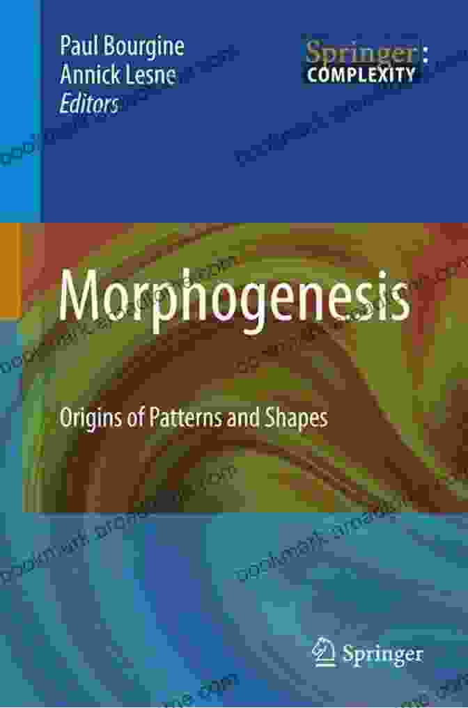 Morphogenesis: Origins Of Patterns And Shapes Morphogenesis: Origins Of Patterns And Shapes (Springer Complexity)