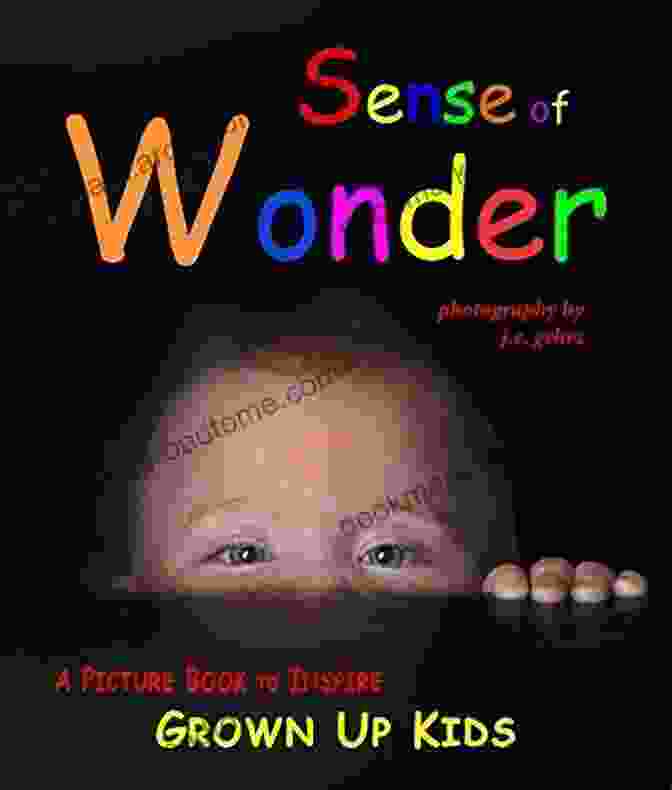 Sense Of Wonder By R.H. Gehrz Book Cover Sense Of Wonder J C Gehrz