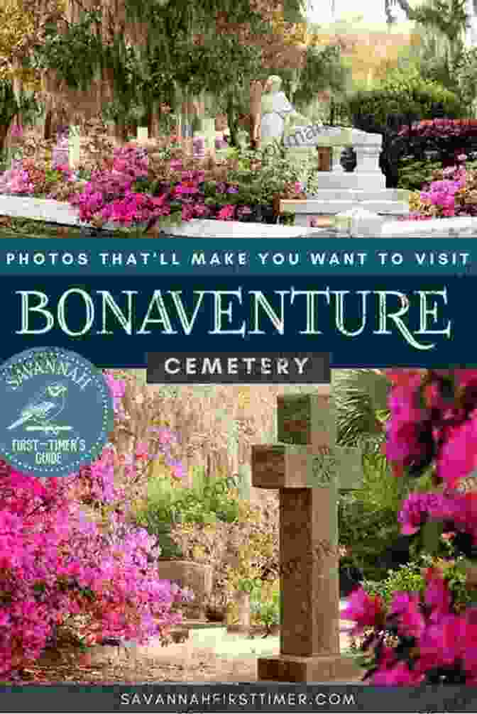 Trouble At The Bonaventure Cemetery Book Cover Made In Savannah Cozy Mystery Novels Box Set (The First 10 Books) (Made In Savannah Mystery Series)