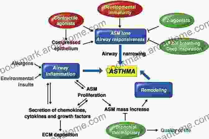 Understanding The Mechanisms Behind Allergy And Sleep Allergy And Sleep: Basic Principles And Clinical Practice