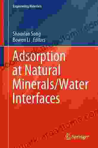 Adsorption At Natural Minerals/Water Interfaces (Engineering Materials)