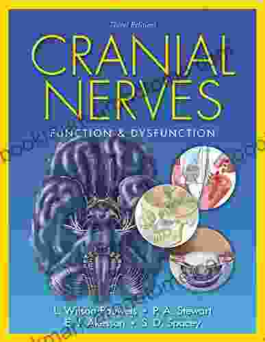 Cranial Nerves: Function And Dysfunction