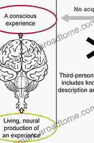 Infant Brain Development: Formation of the Mind and the Emergence of Consciousness