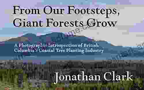 From Our Footsteps Giant Forests Grow: A Photographic Introspection Of British Columbia S Coastal Tree Planting Industry