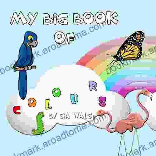 My Big of Colours (Illustrated for Children 2)