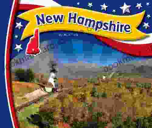 New Hampshire (StateBasics) M J York