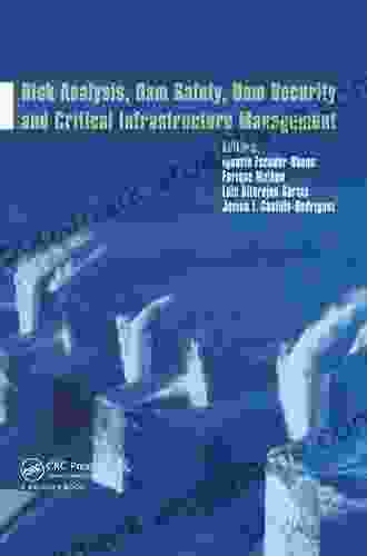 Risk Analysis Dam Safety Dam Security And Critical Infrastructure Management