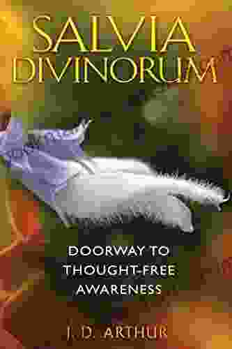 Salvia Divinorum: Doorway To Thought Free Awareness