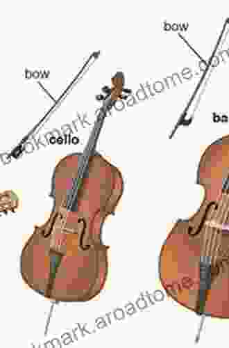 The Science of String Instruments