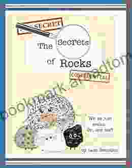 The Secrets Of Rocks Leah Gonzalez