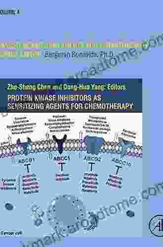 Protein Kinase Inhibitors as Sensitizing Agents for Chemotherapy (ISSN 4)