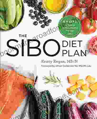 The SIBO Diet Plan: Four Weeks To Relieve Symptoms And Manage SIBO