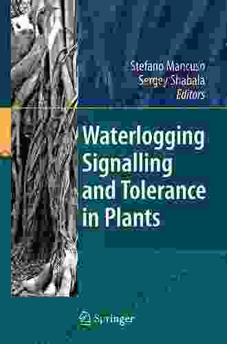 Waterlogging Signalling And Tolerance In Plants