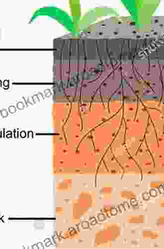 Soil Formation J Donald Rimstidt